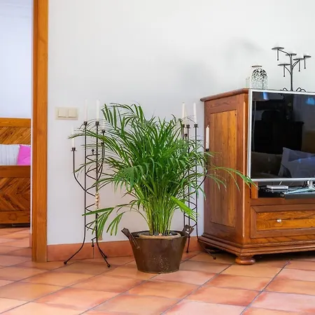 Villa Ca Na Rosa
